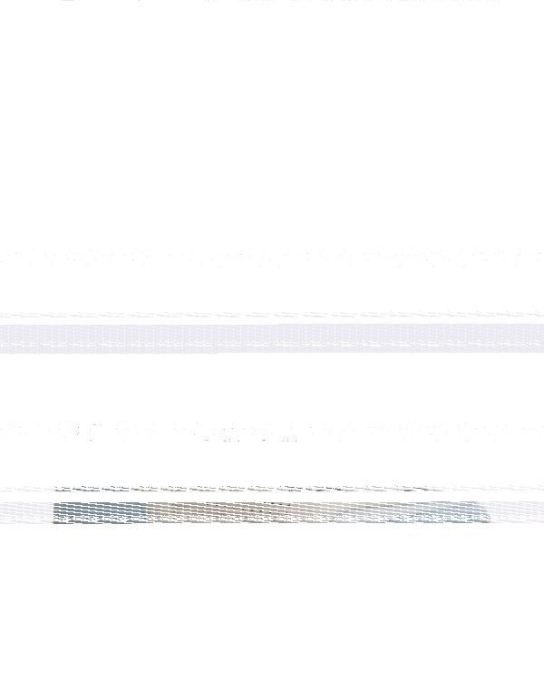 Heren Dice T-Toe Sneaker