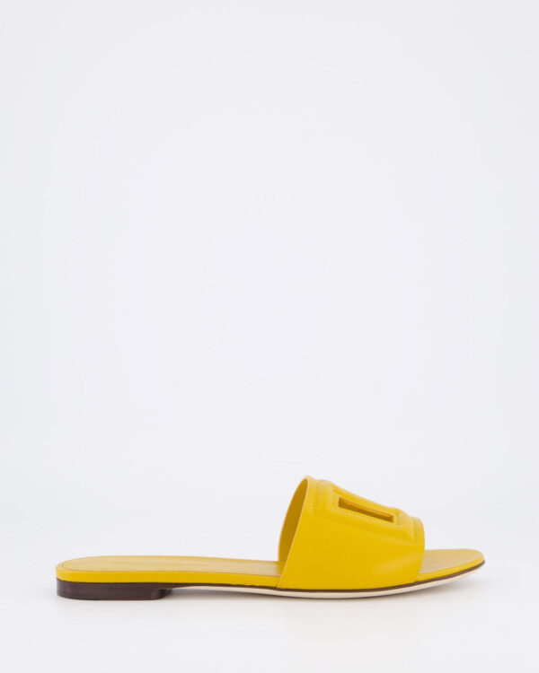 Dames D&G Logo Flat Slide Geel