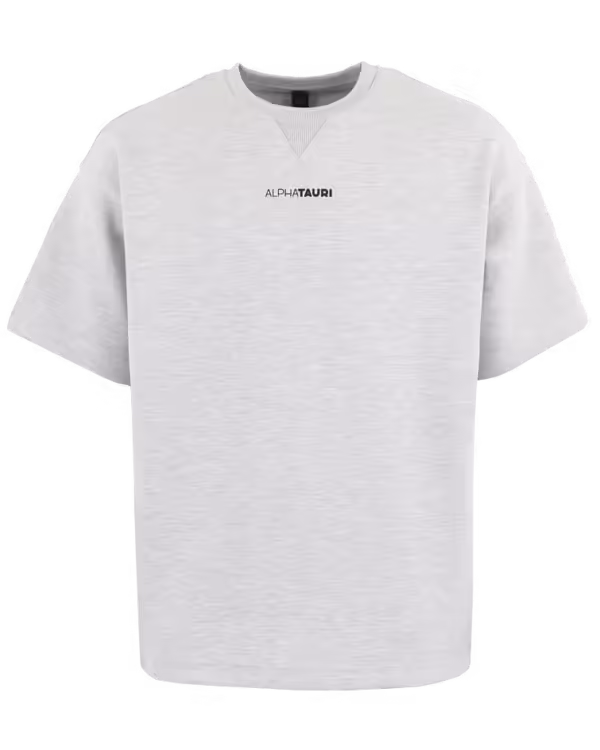 Heren JAHEV T-shirt Grijs